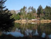 Zip Line Tours, High Life Adventures of Warrenton/Astoria Oregon. Come experience the high Life!