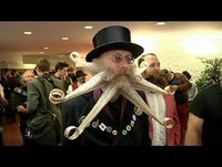 Os 'cromos' das barbas