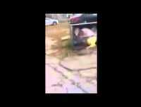 Whatsapp Videos Engraçados Loira Tentando Fazer Graça Vídeos Engraçados 2014