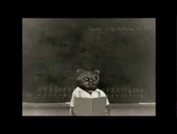 Bruno Aleixo e os Caloiros