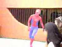 La caida del Hombre Arana version corta