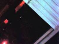 Rep. Cincobola - jackass atirador piriquito