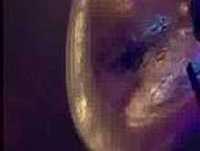 gato fedorento - Moonspell a cantar noddy