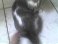 #Momentos engraçados#