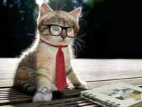 Animais Engraçados.....rs