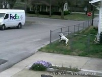 Camara Oculta capta momento hilariante!