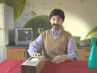 Ecogumelos / Nuno Markl / 5 Para a Meia-Noite