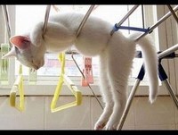 Funny Videos || Funny Fails || Funny People || Best funny videos fails 2015