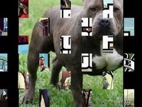 los idolos de los jovenes