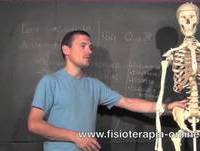 Lumbalgia o lumbago  ¿Qué es y cuáles son sus causas?