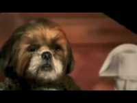 Programa do Aleixo  Scatman