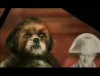 Bruno Aleixo & Busto -  Amores Desencontrados