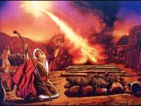 caia fogo  fernandinho