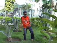 Damy Andrady - O Garanhão do Brega