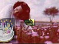 Feliz Aniversário - Rachel Dias de  Moraes