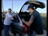 Gato Fedorento - O Polícia que Prova Tudo