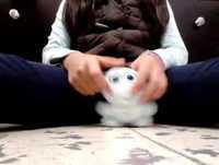 Los ídolos de mis pimpollos