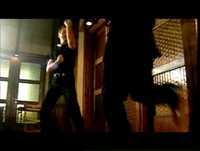 Gwiezdne wojny (ekstra parodia)