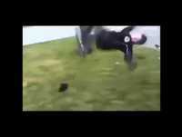 Vídeos Para Você Rir - Parte 1