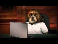 Bruno Aleixo - Aniversário SAPO