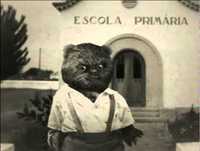 Bruno Aleixo na Escola 08- Recreio