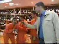 Gato Fedorento- Voos da CIA