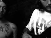 TUBO DE ENSAIO - DAVI FIREMAN