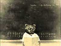 Episódio 1: Aleixo na Escola - A Escola