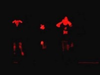 MICO: Noite Cultural Letras UNIFRAN 2012 - Paródia Fernandona