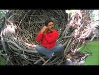 NICOLAS MADURO EN EL NIDO DEL PAJARITO---HUMOR