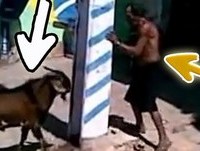 Videos Engraçados - Videos Chistosos - Videos de Risa - Videos Graciosos - Mais Engraçados de Rir