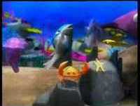 viky o pequeno golfinho