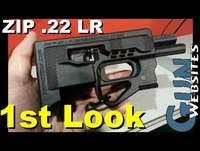 ZiP .22 lr Pistol (Zip Factory)