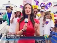 Best Reporter Fails June 2014 // Funny News Fails