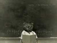 Bruno Aleixo Na Escola 01- A Escola