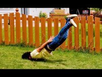 Epic fails 2014 compilation