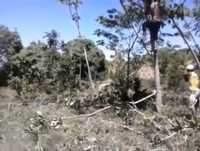 Jackass: Arembepe - episódio 1