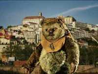 Os Conselhos Que Vos Deixo - 7