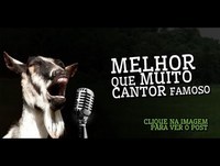 Paçoqueiros e Paçoqueiras Vamos Rir ?! #1 Complete a Musica Com Beer Da Cabra ! xD