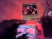 Que invizimals uso para combatir