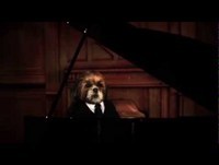 Bruno Aleixo - Bohemian Rhapsody