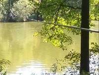 Rob zip lining with monica