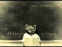 Bruno Aleixo Na Escola 03- O Outono