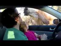 Ola ke ase, comiendote una ñina o ke ase