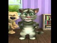 Porque os gatos não gostam de cachorro ! Videos engraçados para rir do youtube