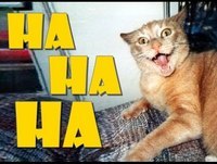 Videos engraçados - Bebes engraçados Sustos Gatos Tombos Animais Melhores videos engraçados 2014