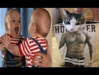 Videos engraçados - Tombos Cassetadas Animais e Bebes engraçados Melhores videos engraçados 2014