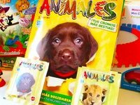 El Gran Álbum del mundo Animal | Cromos de Animales