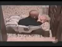 Morganho.com - Os bebés mais engraçados da net