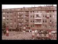 Não Sejas Ovelha.Bebe B! Groselha